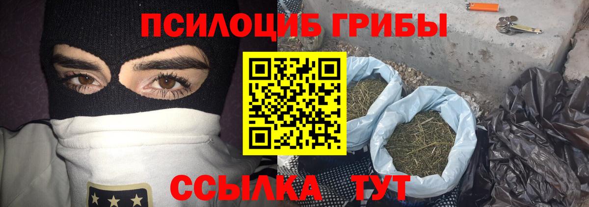Галлюциногенные грибы GOLDEN TEACHER  Вход с VPN  Вязьма  Псилоцибиновые грибы мицелий 